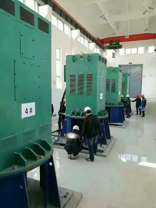 YKK7106-10某污水处理厂使用我厂的立式高压电机安装现场